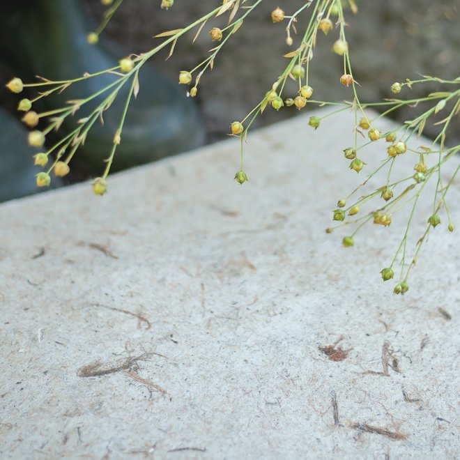 NATÜRLICHES BIO-MATERIAL