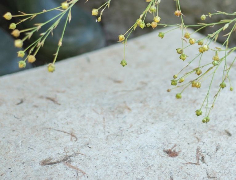 NATÜRLICHES BIO-MATERIAL